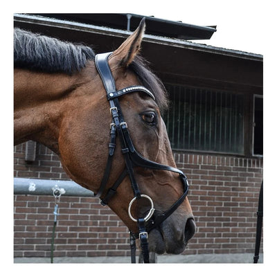 House of Montar - Muserolle Fair (Black)